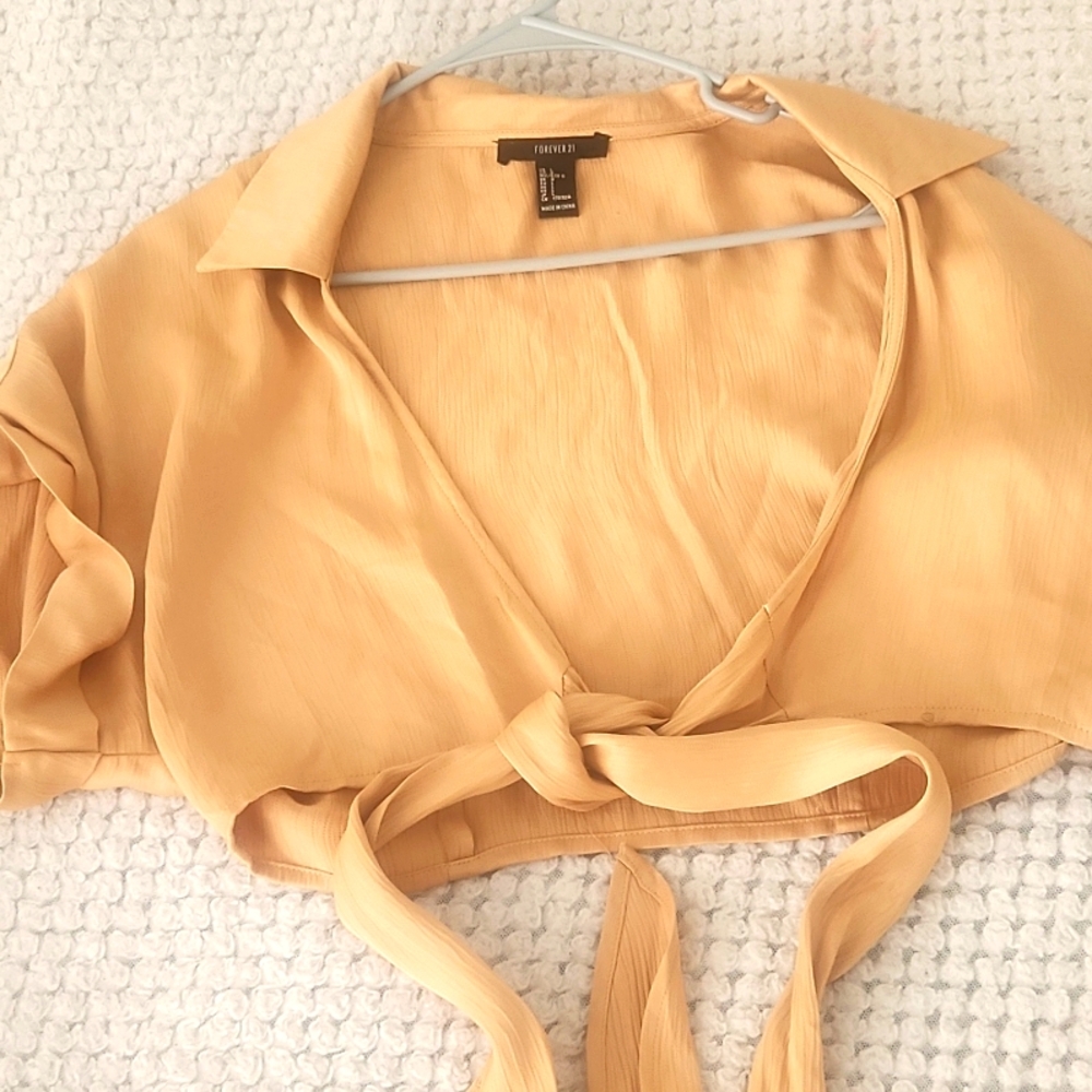 Tan crop blouse